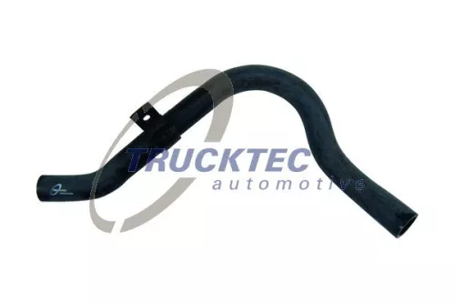 Hose, crankcase ventilation
