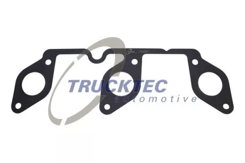 Gasket, exhaust manifold