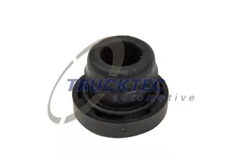 Holder, injector