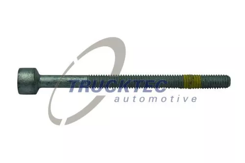 Screw, injection nozzle holder