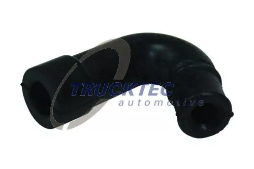 Hose, crankcase ventilation