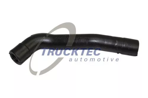 Hose, crankcase ventilation