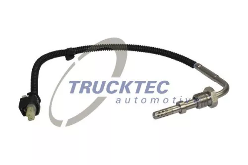 Sensor, exhaust gas temperature