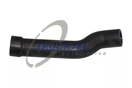 Hose, cylinder head cover ventilation