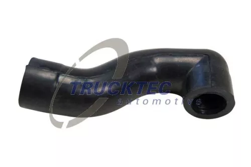 Hose, cylinder head cover ventilation
