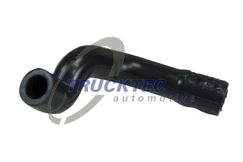 Hose, cylinder head cover ventilation