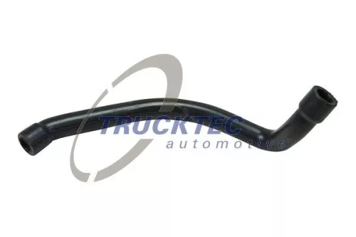 Hose, cylinder head cover ventilation