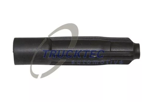 Plug, spark plug