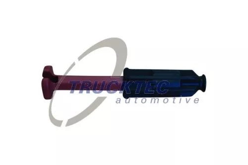 Plug, spark plug