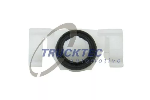 Clip, trim/protection strip