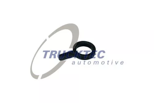 Seal, injection pump