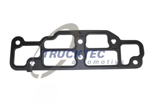 Gasket, thermostat housing
