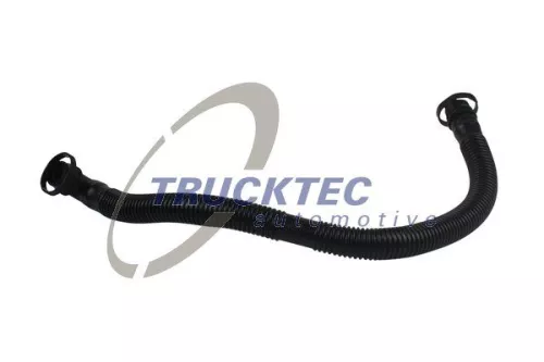 Hose, crankcase ventilation