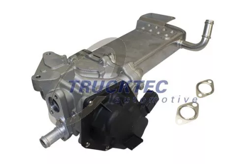 EGR Module