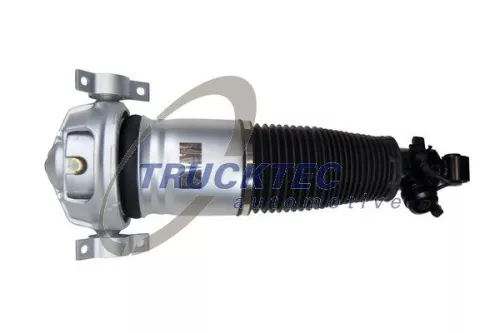 Air Suspension Strut