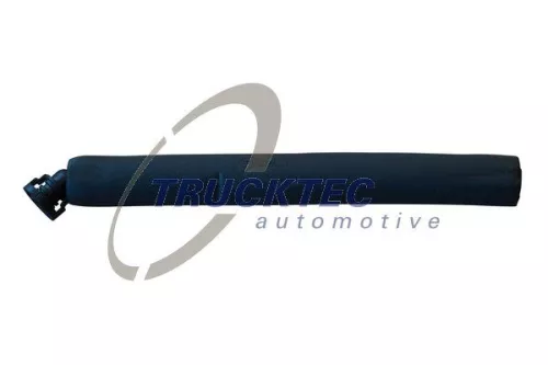 Hose, crankcase ventilation
