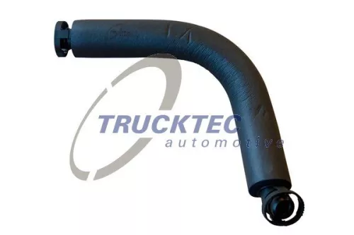 Hose, crankcase ventilation