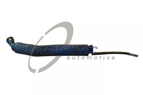Hose, crankcase ventilation