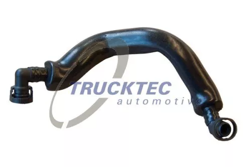 Hose, crankcase ventilation