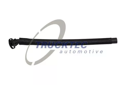 Hose, crankcase ventilation