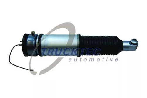 Air Suspension Strut