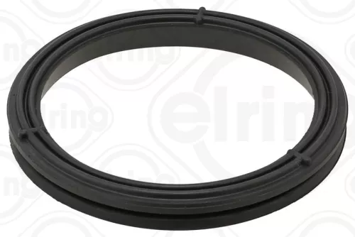 Gasket, timing case cover