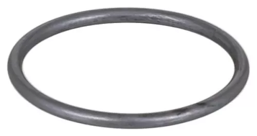 Seal Ring