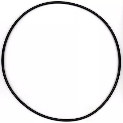 Seal Ring