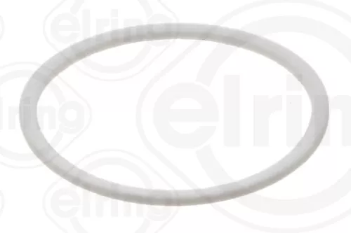 Seal Ring