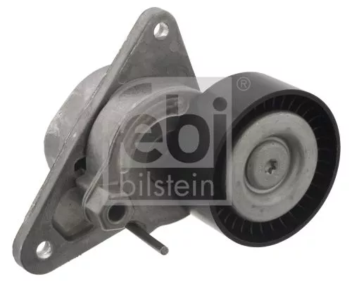 1x Belt Tensioner, V-ribbed belt