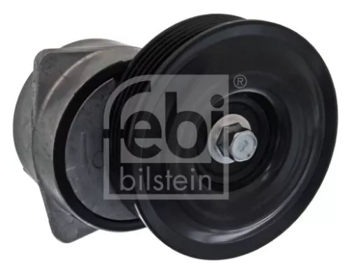 1x Belt Tensioner, V-ribbed belt