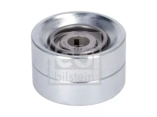 1x Deflection/Guide Pulley, V-ribbed belt