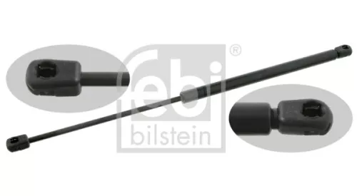 1x Gas Spring, bonnet