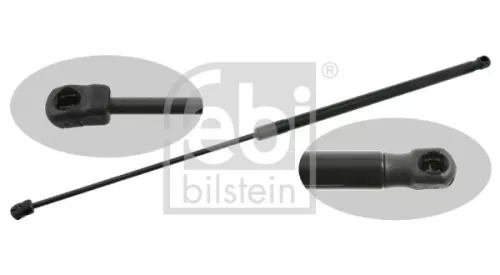 1x Gas Spring, bonnet
