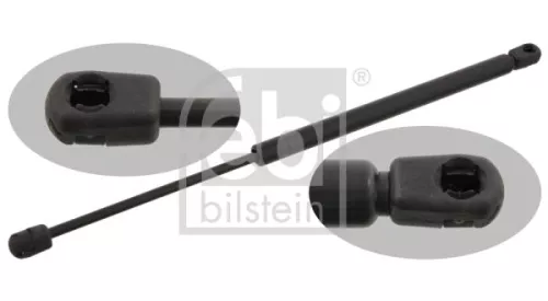 1x Gas Spring, bonnet