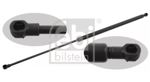 1x Gas Spring, bonnet