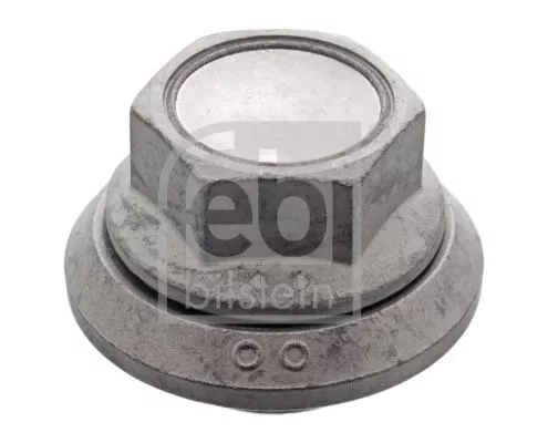 10x Wheel Nut
