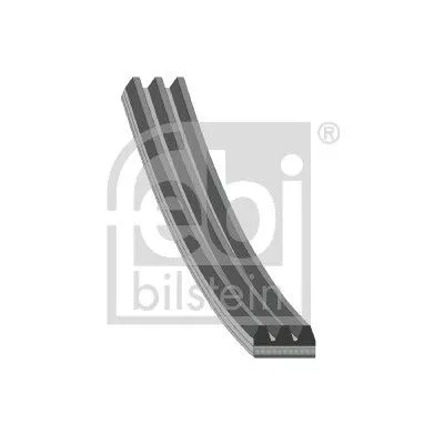 1x V-Ribbed Belt