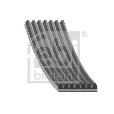 1x V-Ribbed Belt