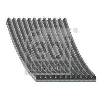 1x V-Ribbed Belt