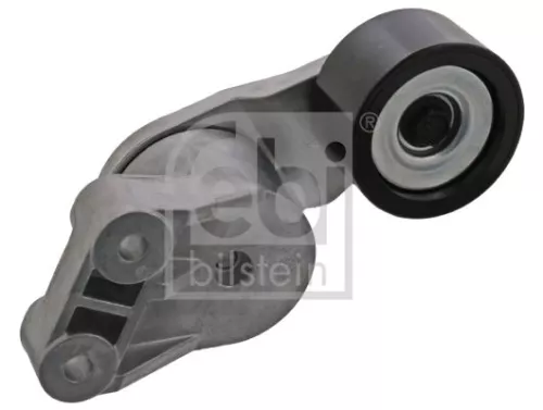 1x Belt Tensioner, V-ribbed belt