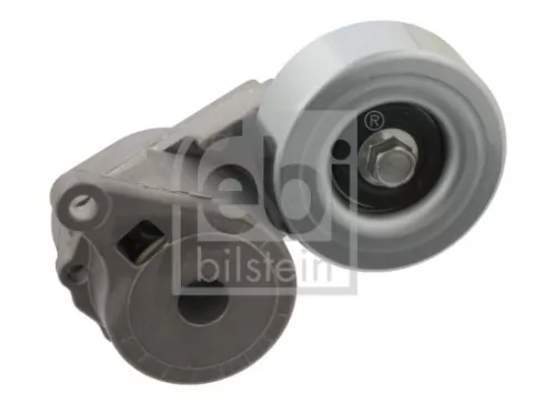 1x Belt Tensioner, V-ribbed belt