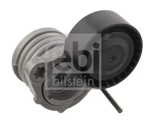 1x Belt Tensioner, V-ribbed belt