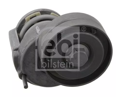1x Belt Tensioner, V-ribbed belt