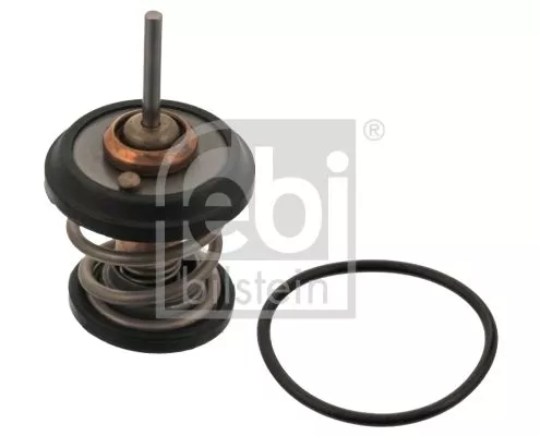 1x Thermostat, coolant