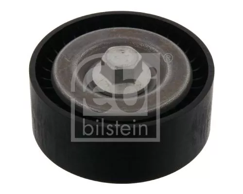 1x Deflection/Guide Pulley, V-ribbed belt