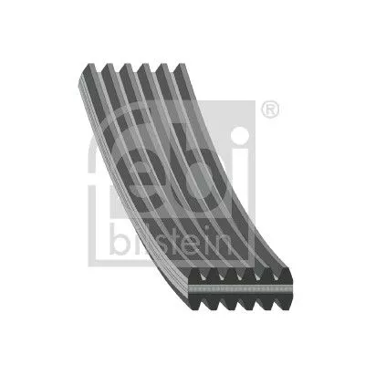 1x V-Ribbed Belt