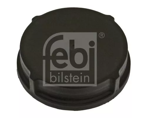 1x Cap, power steering fluid reservoir