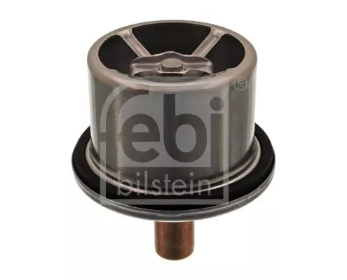 1x Thermostat, coolant