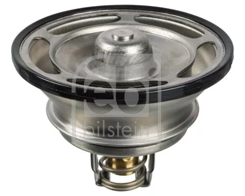 1x Thermostat, coolant